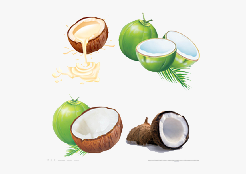 Coconut Png, Transparent Png