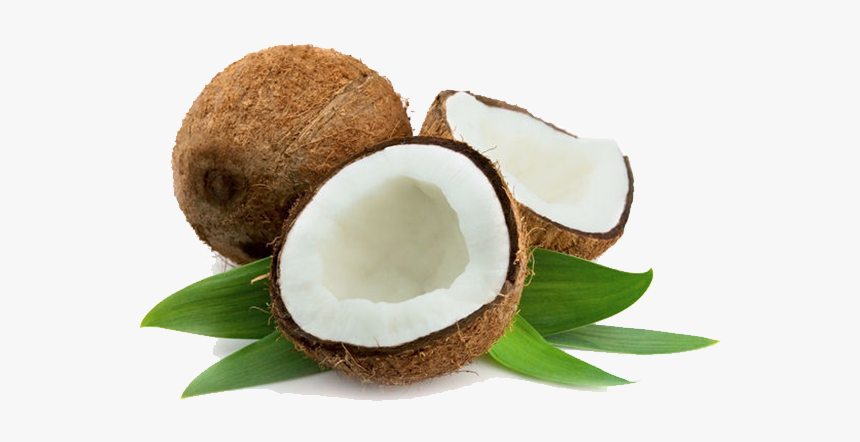 Coconut Png, Transparent Png