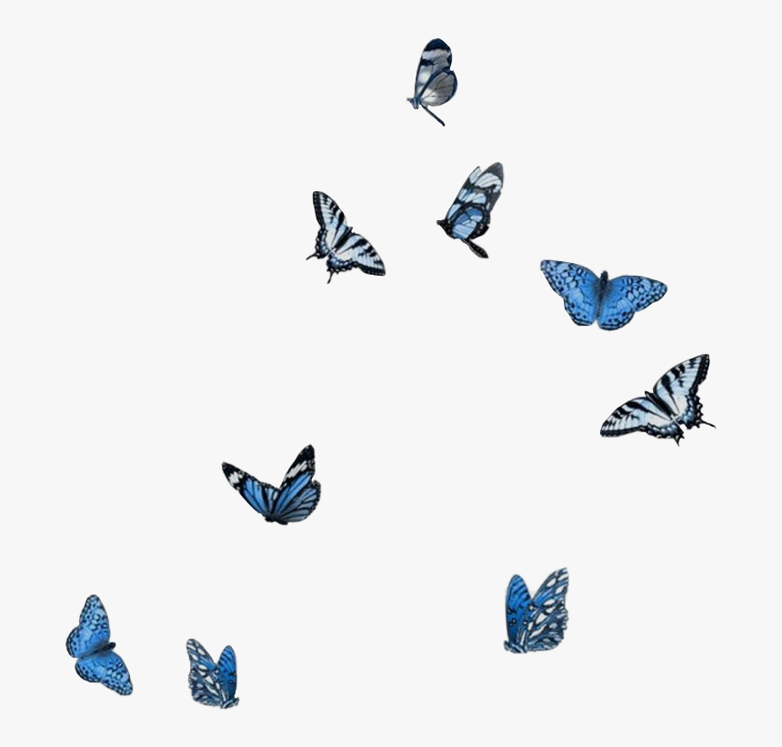 #bluebutterflies #aesthethic #png #butterflies #butterfly, Transparent Png