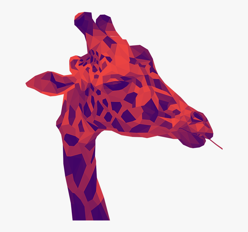 Giraffe Png, Transparent Png