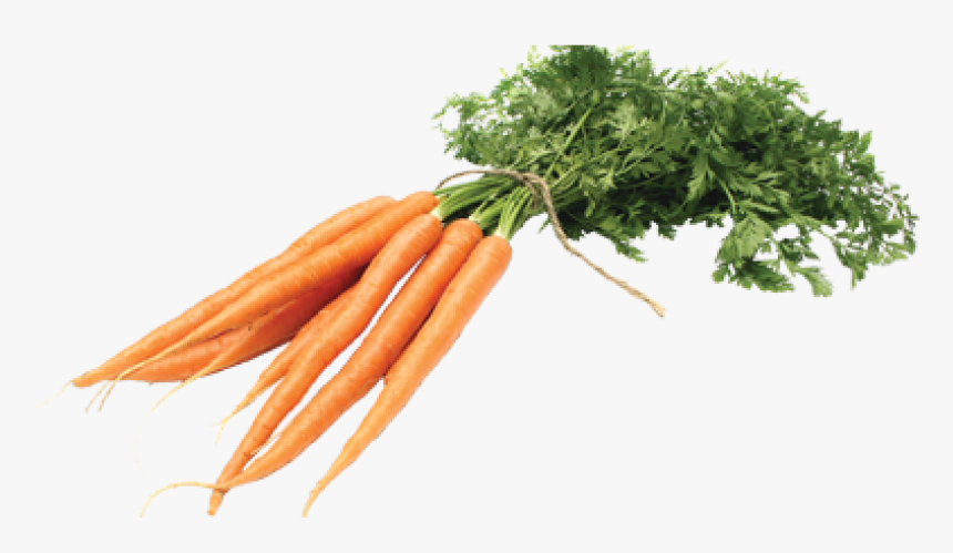 Carrot Png, Transparent Png