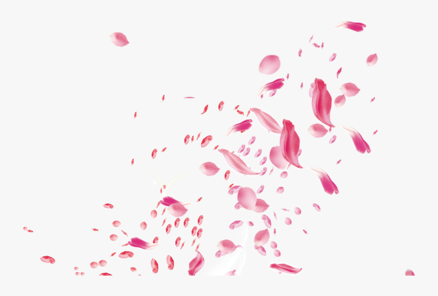 Flower Petals For Wedding, HD Png Download