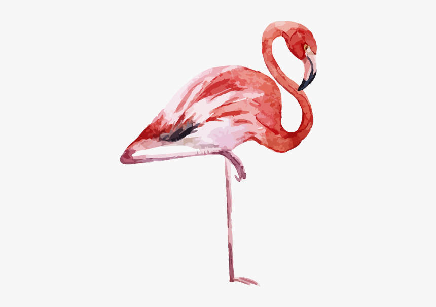Flamingo Printing Canvas Print Printmaking, HD Png Download