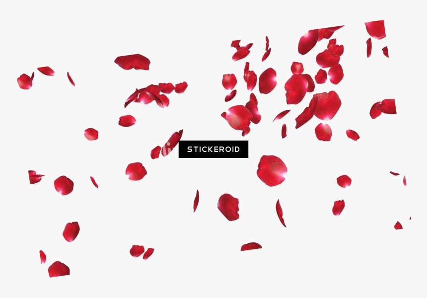 Rose Petals Flowers , Png Download, Transparent Png