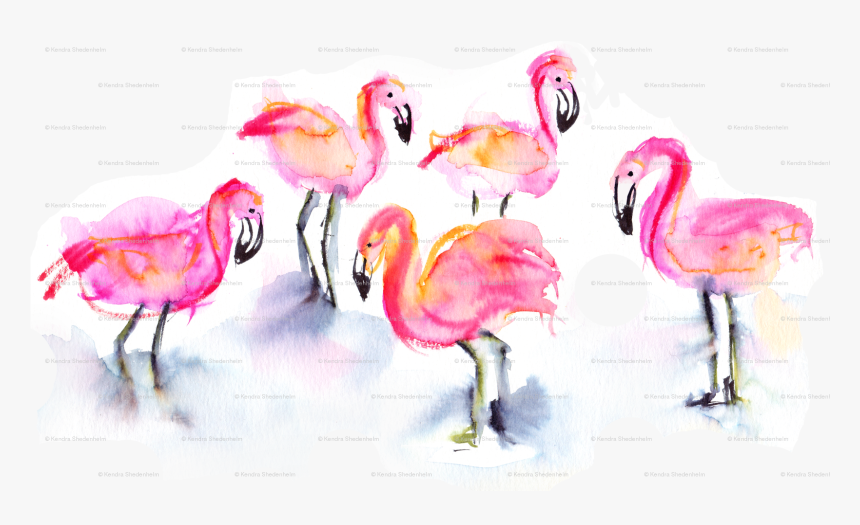Greater Flamingo , Png Download, Transparent Png