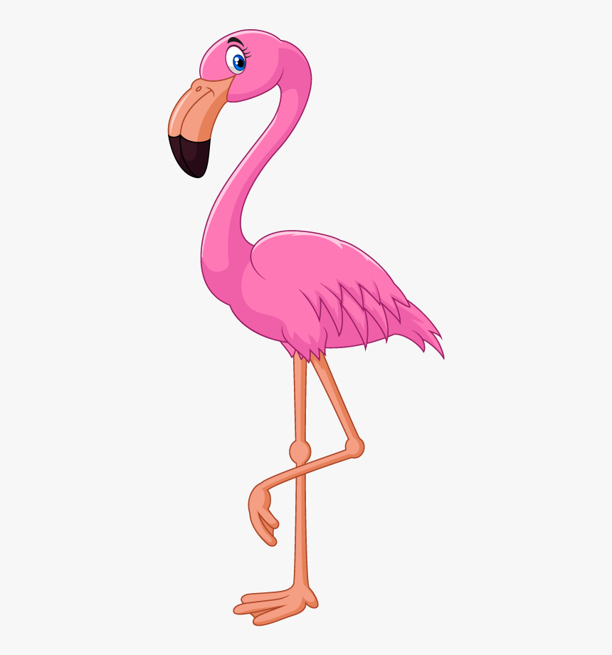 Flamingo Cartoon Clip Art, HD Png Download