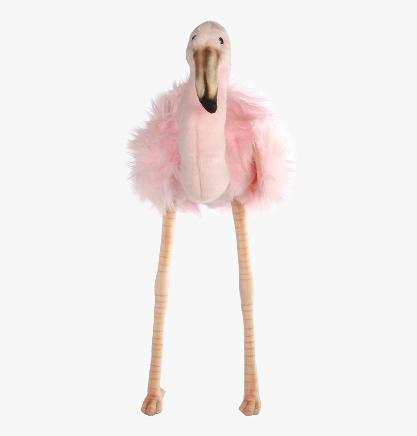 Transparent Flamingo Png, Png Download