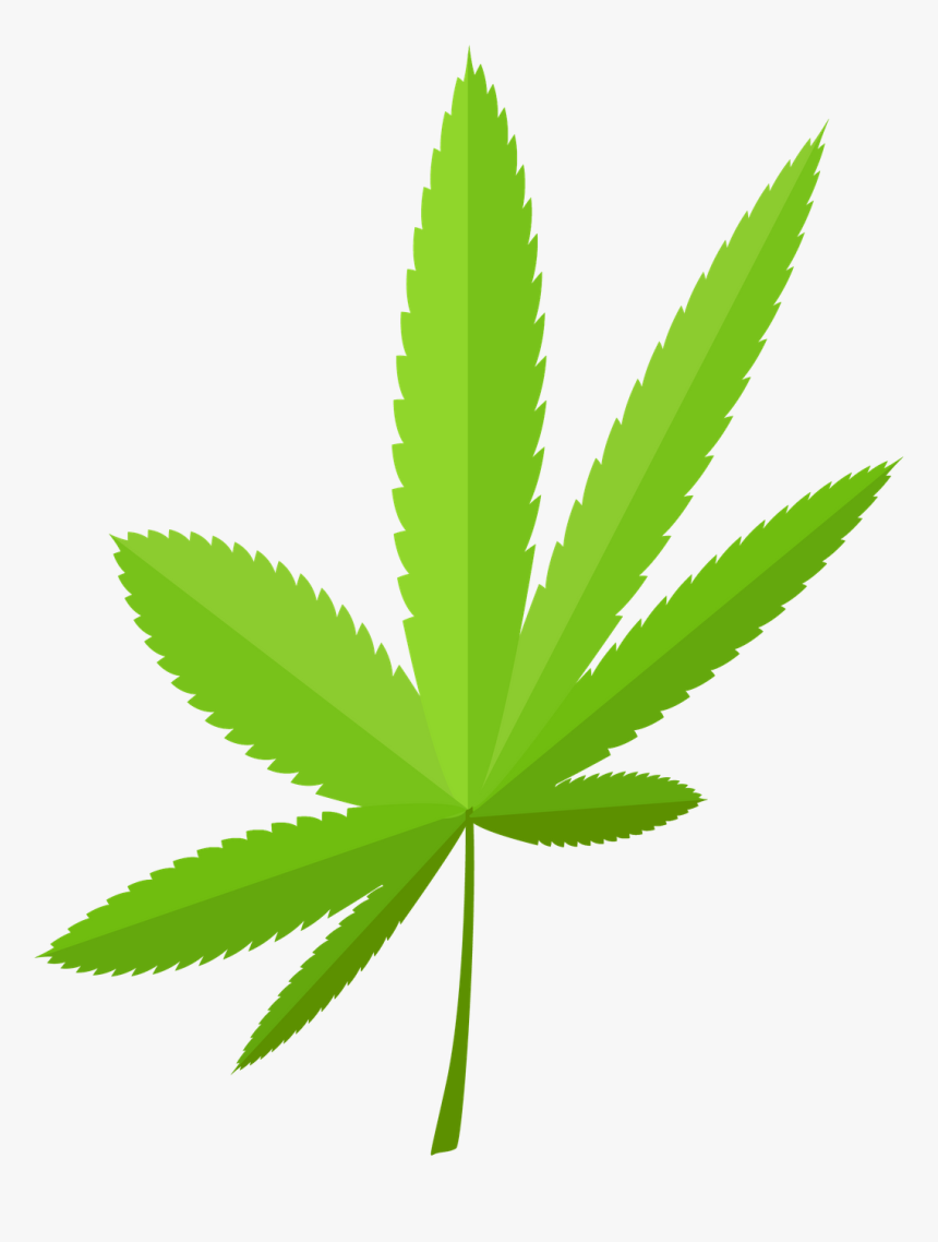 Weed Leaf Png, Transparent Png
