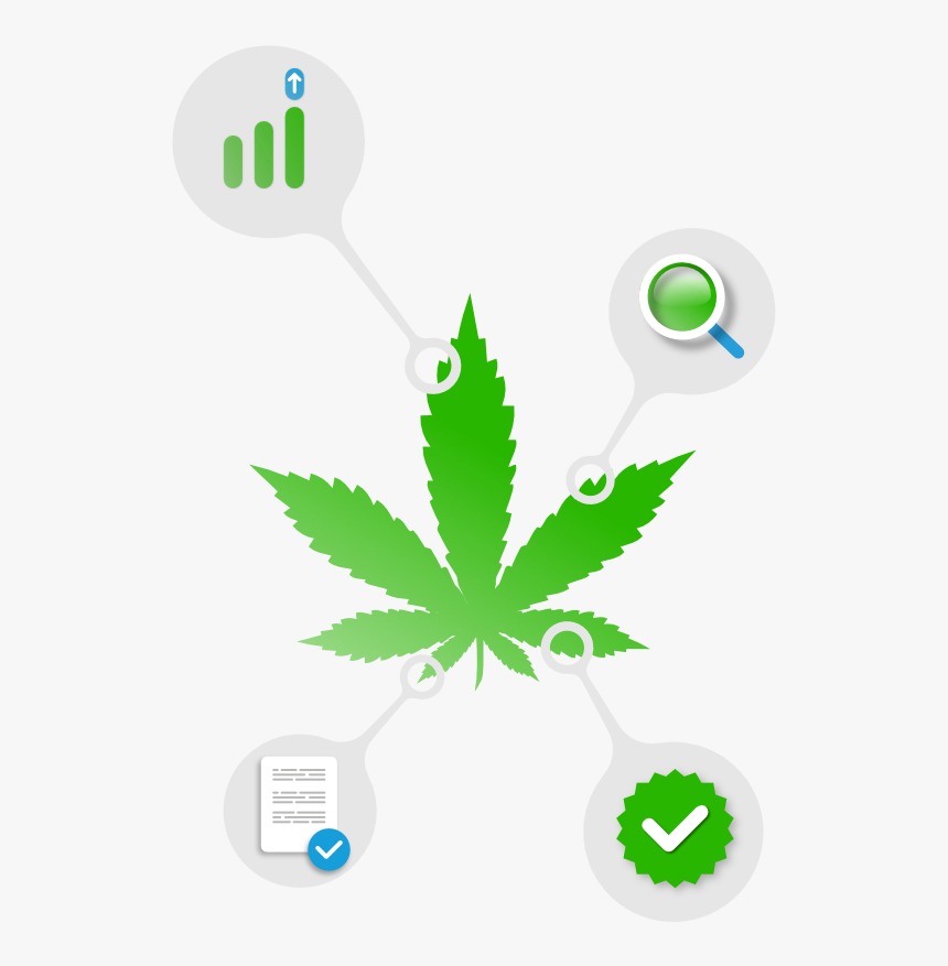 Weed Leaf Png, Transparent Png