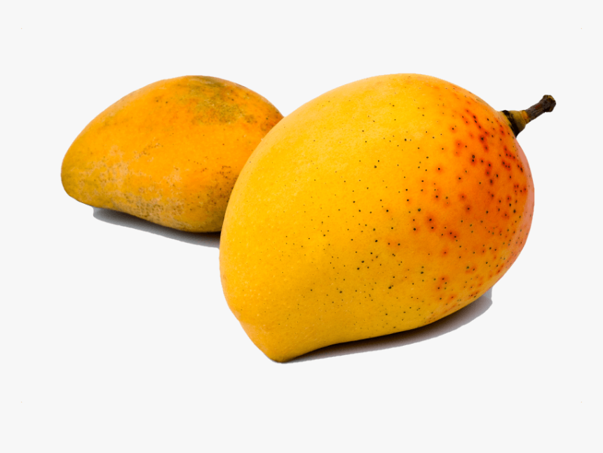 Super Charge Fat Burning And Weight Loss, HD Png Download