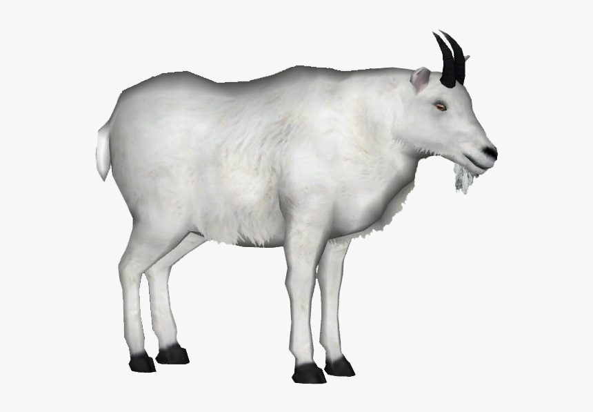 White Goat Png File, Transparent Png