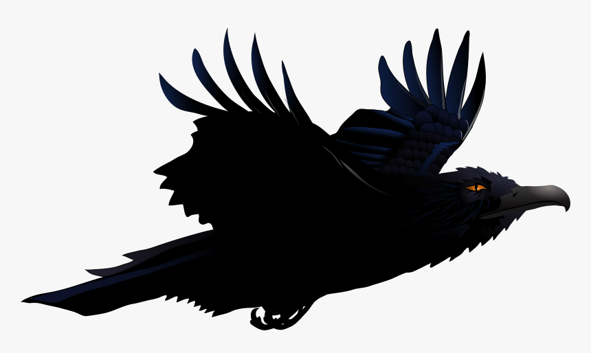 Cartoon Raven Png , Png Download, Transparent Png