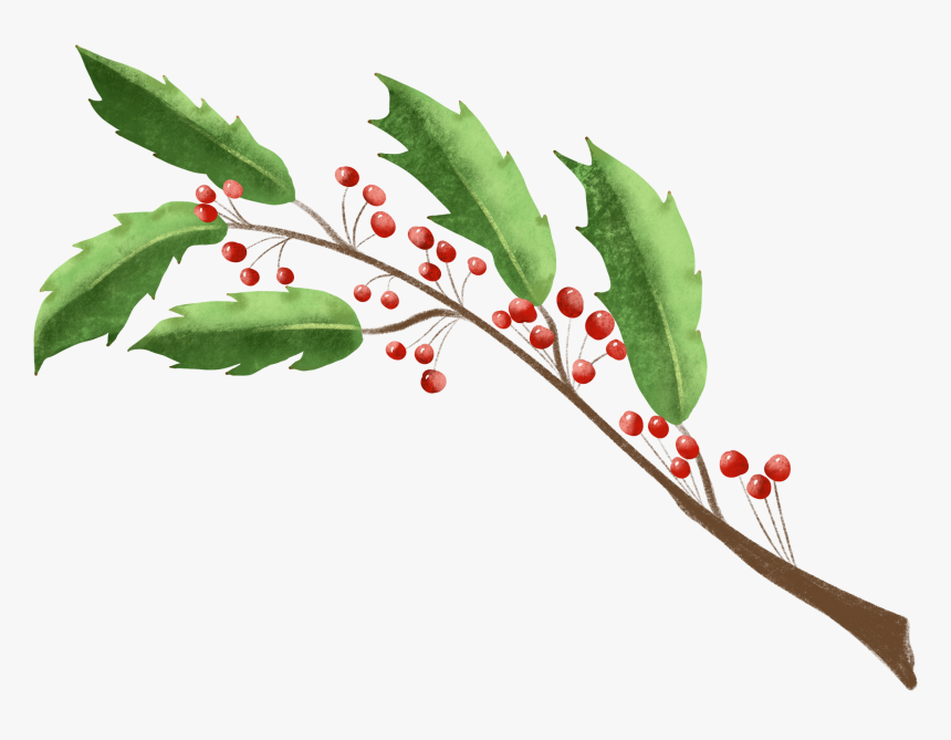 Wc10 - Holly, HD Png Download