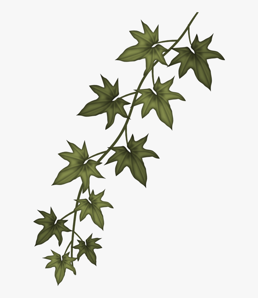 Ivy Clip Art Free, HD Png Download