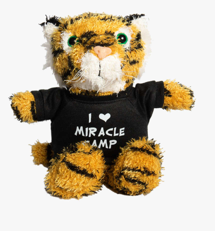 Teddy Bear , Png Download, Transparent Png