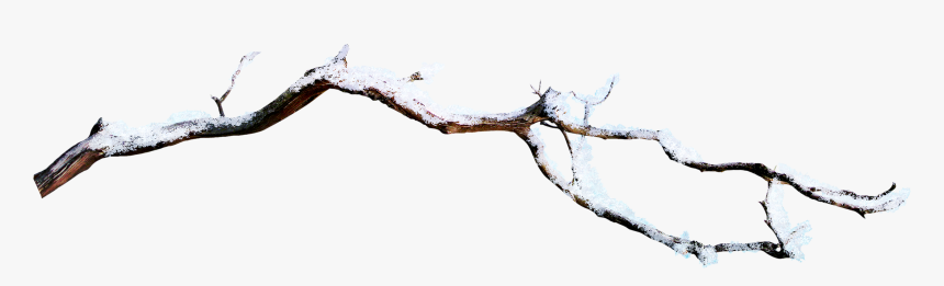 Snow Branch Png Download, Transparent Png