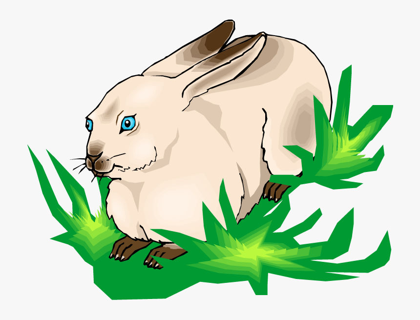 Rabbit Clipart Grass, HD Png Download