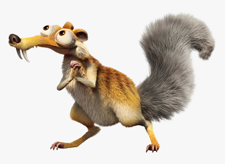 Squirrel Png, Transparent Png