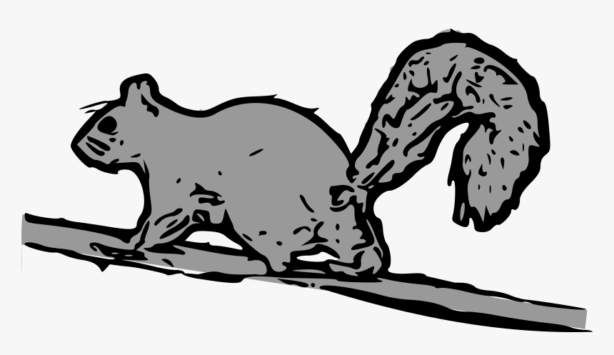 Squirrel Clip Arts, HD Png Download