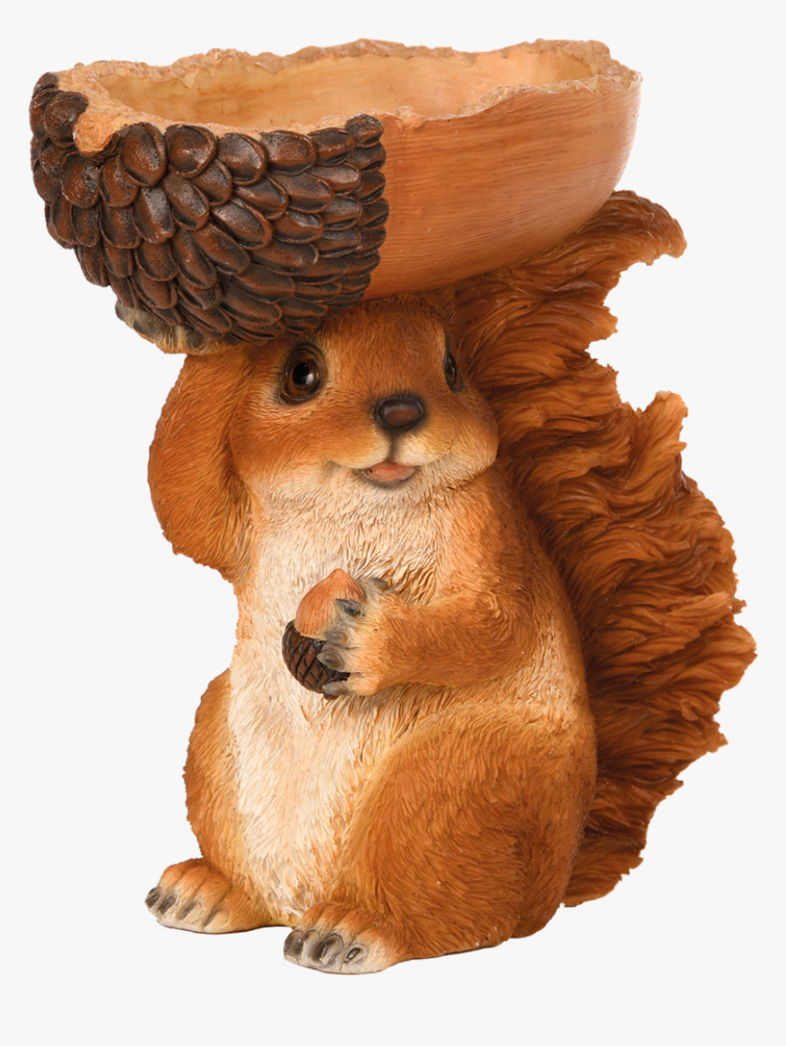 Feeding Bowl Squirrel, HD Png Download