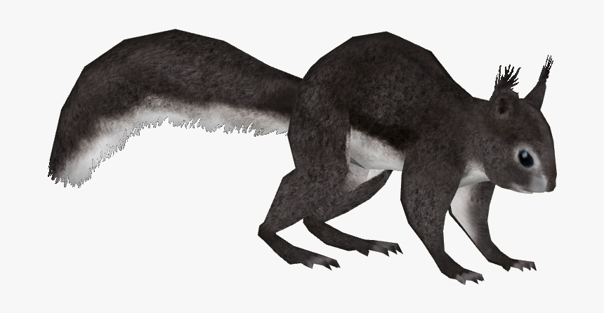 Squirrel Png, Transparent Png