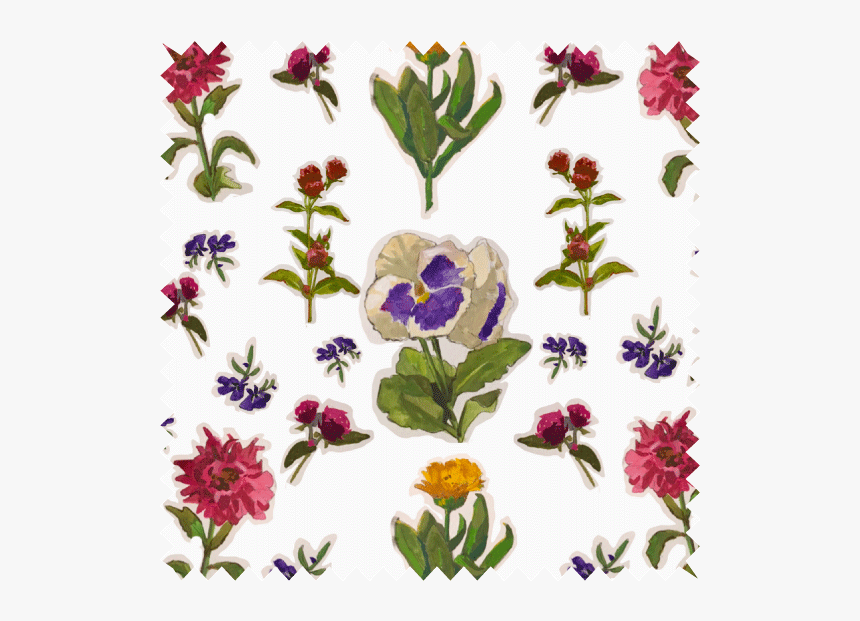 Pansies And Friends, HD Png Download
