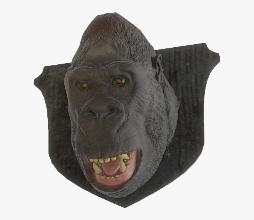 Gorilla Head Png, Transparent Png