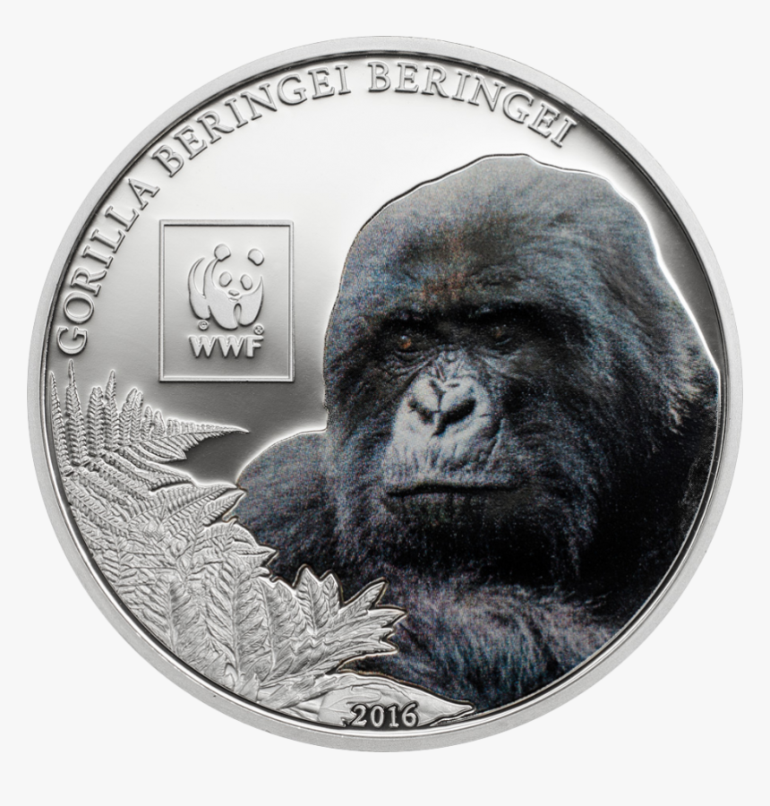 Transparent Silverback Gorilla Png, Png Download