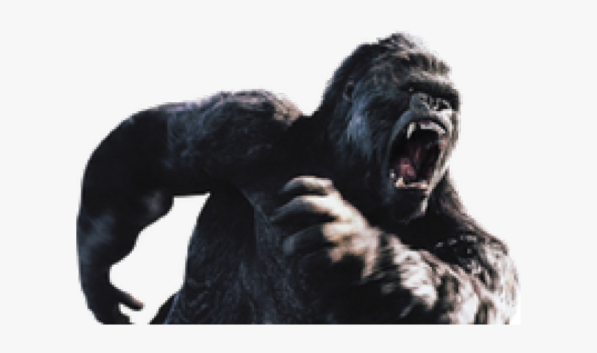 Gorilla Png Transparent Images, Png Download