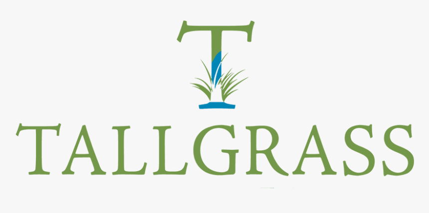 Tall Grass Png, Transparent Png