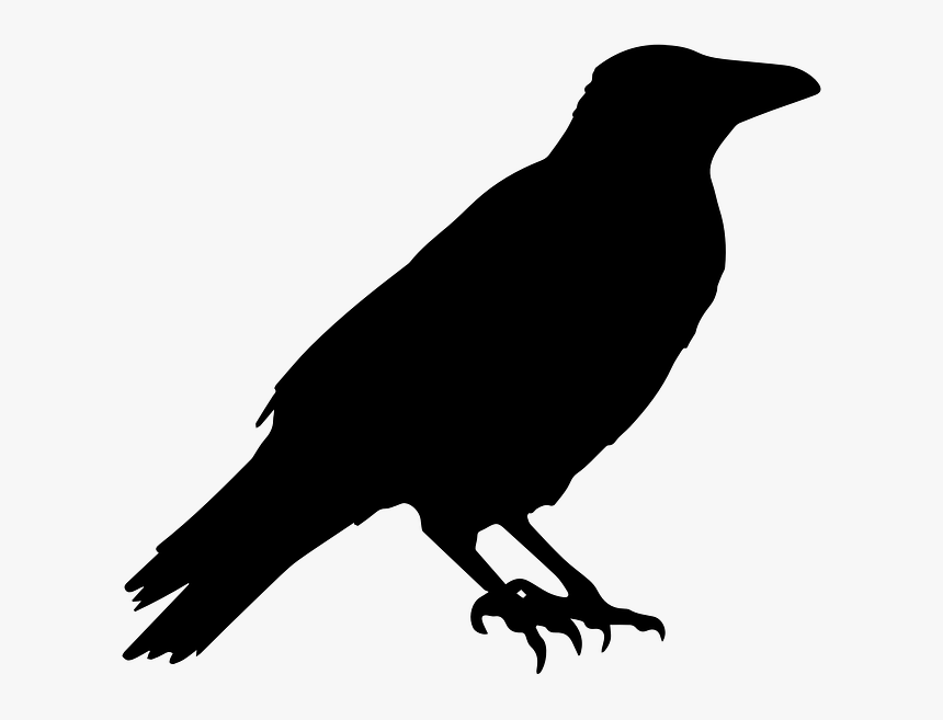 Halloween Crow Png Picture, Transparent Png