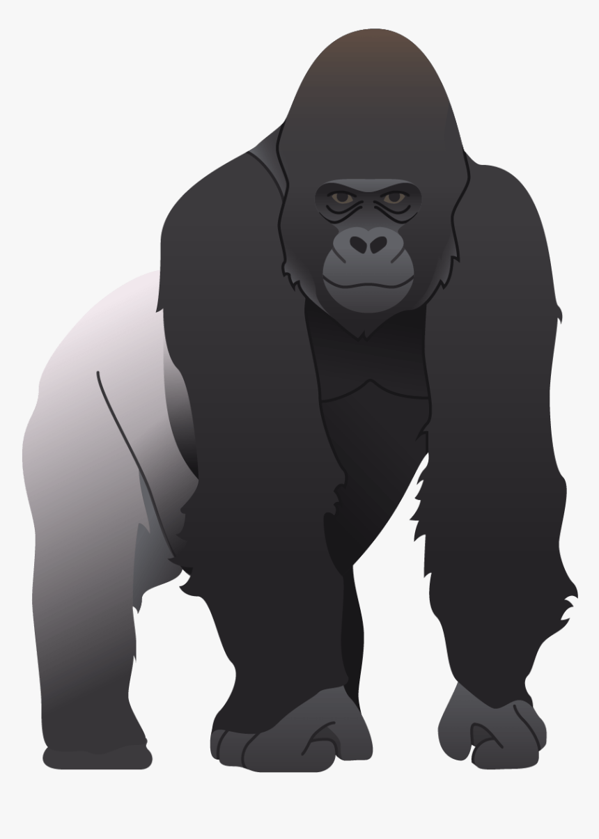 Gorilla Png, Transparent Png