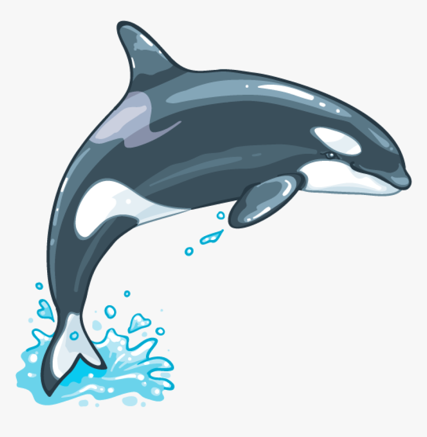 Killer Whale Png File, Transparent Png