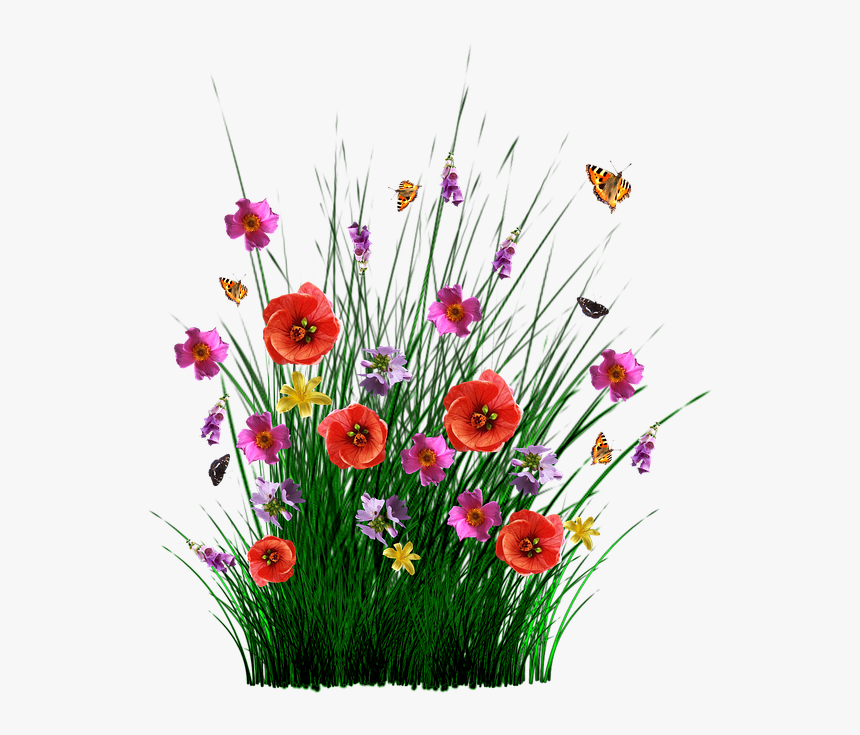 Spring Flowers Grass, HD Png Download