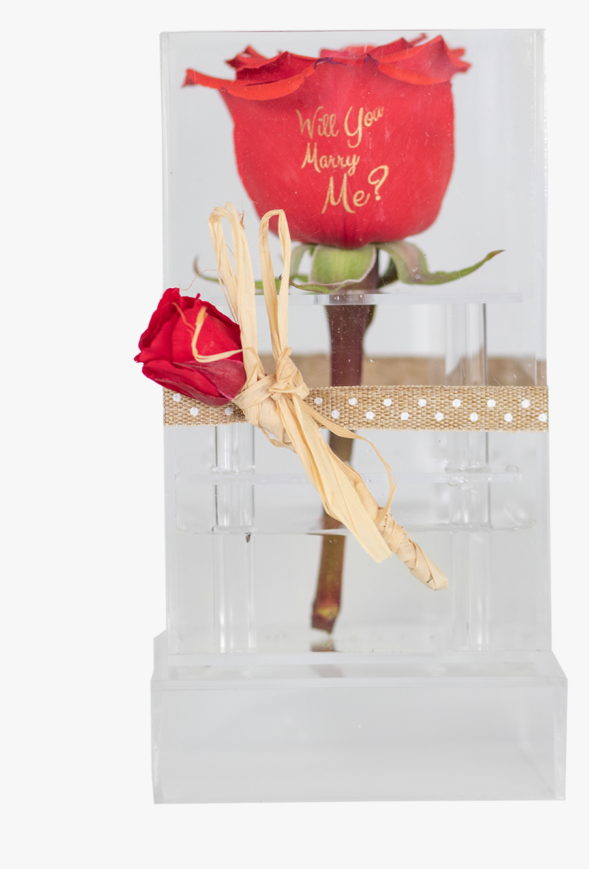 Preserved Rose In A Clear Acrylic Box, HD Png Download