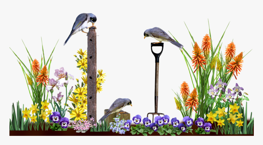 Garden Png, Transparent Png