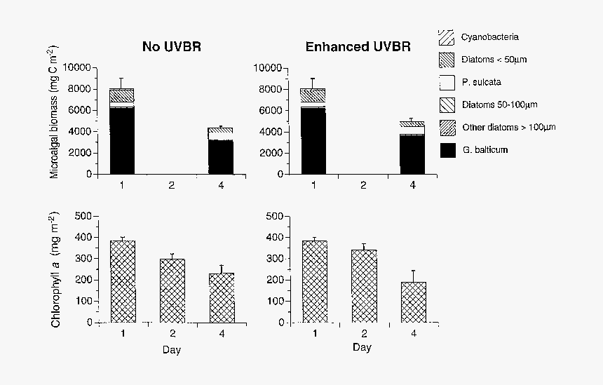 Lenny Face Png, Transparent Png