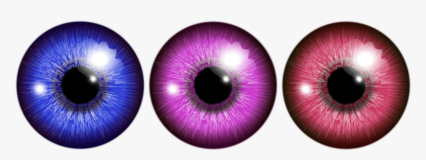 Eyeball Png, Transparent Png