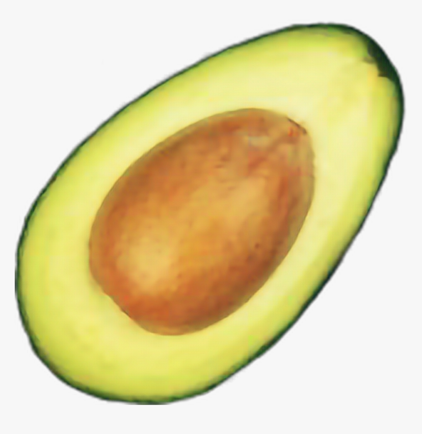 Avocado , Png Download, Transparent Png