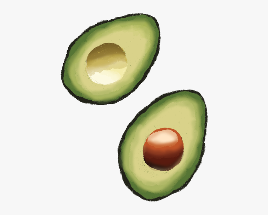 Avocado, HD Png Download