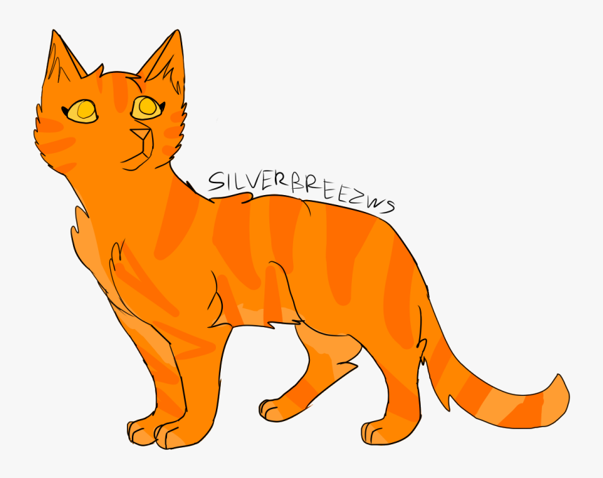 Kitten , Png Download, Transparent Png