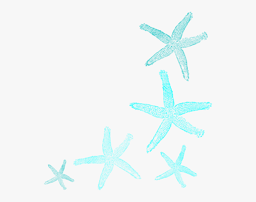 Transparent Starfish Png, Png Download