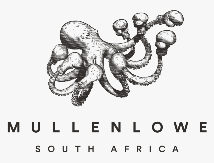 Transparent South Africa Png, Png Download