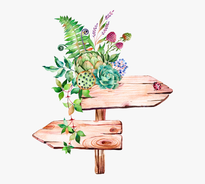 Transparent Watercolor Succulent Png Clipart , Png, Png Download