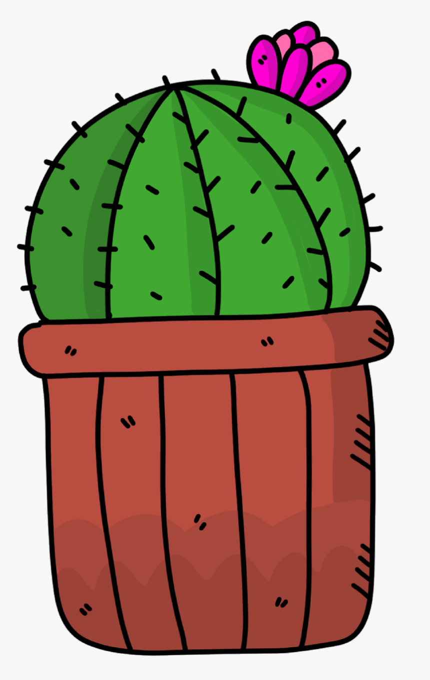 Succulent Png, Transparent Png