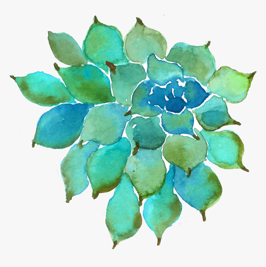 Watercolor Succulent Png Image, Transparent Png