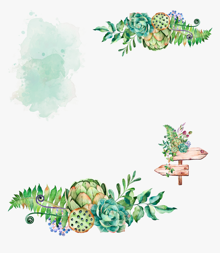 Plant Watercolor Painting Cactaceae Lily Lotus Sign, HD Png Download