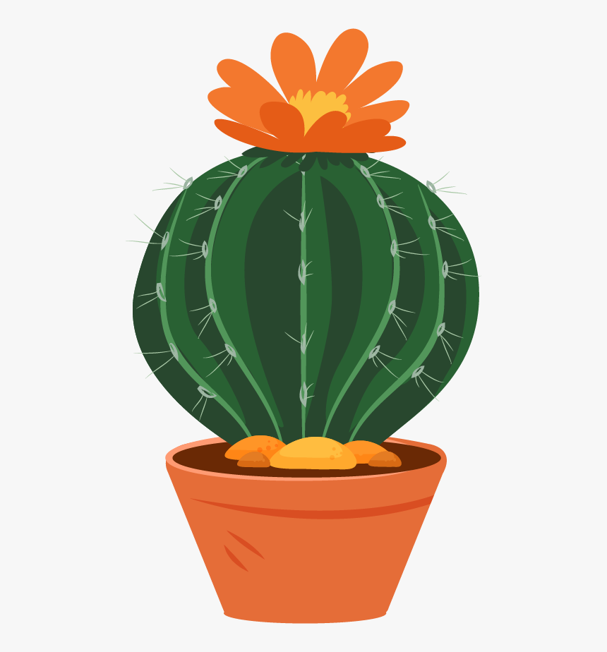 Succulent Png, Transparent Png
