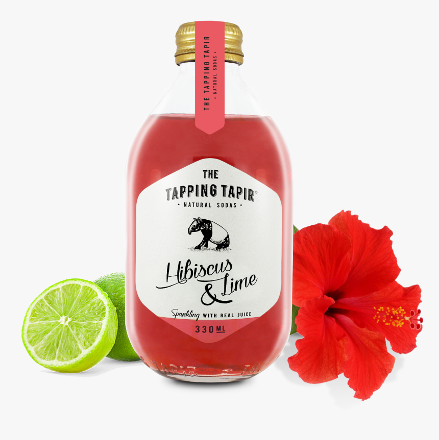 Hibiscus & Lime , Png Download, Transparent Png