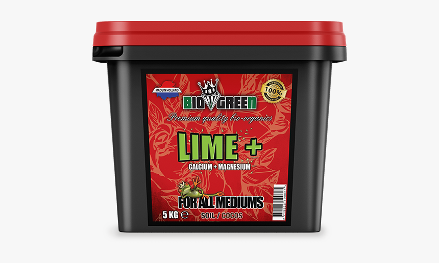 Lime Png, Transparent Png
